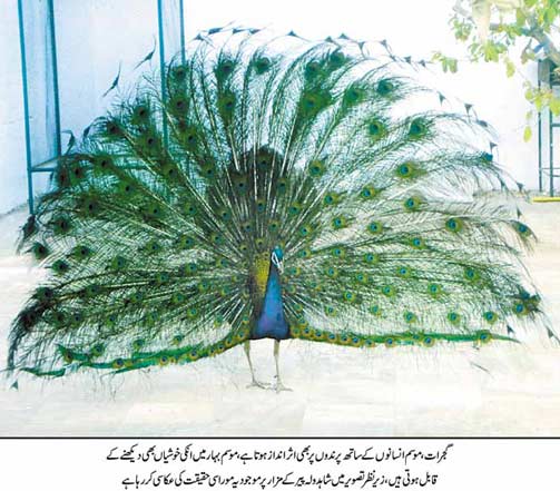 contents/images/045.jpg