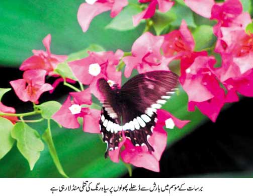contents/images/0042.jpg