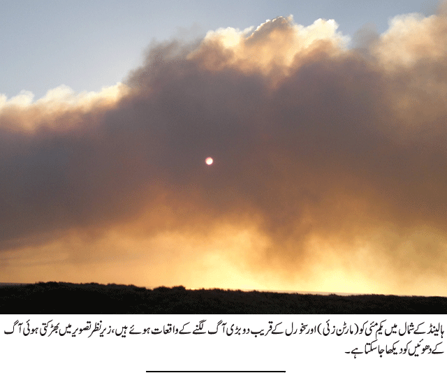 News in Detail