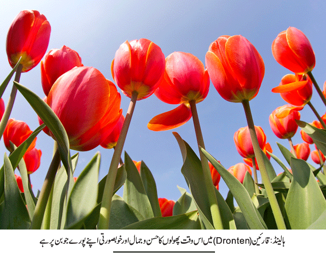 News in Detail