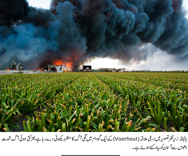 News in Detail