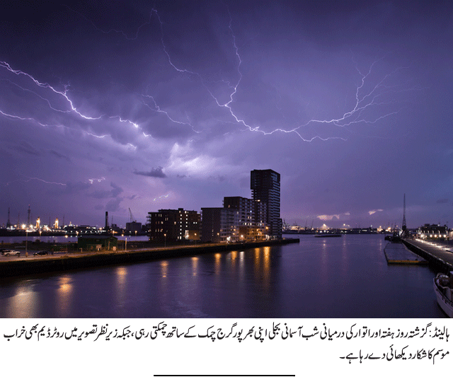News in Detail