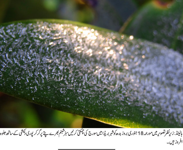 News in Detail