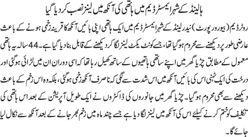 News in Detail