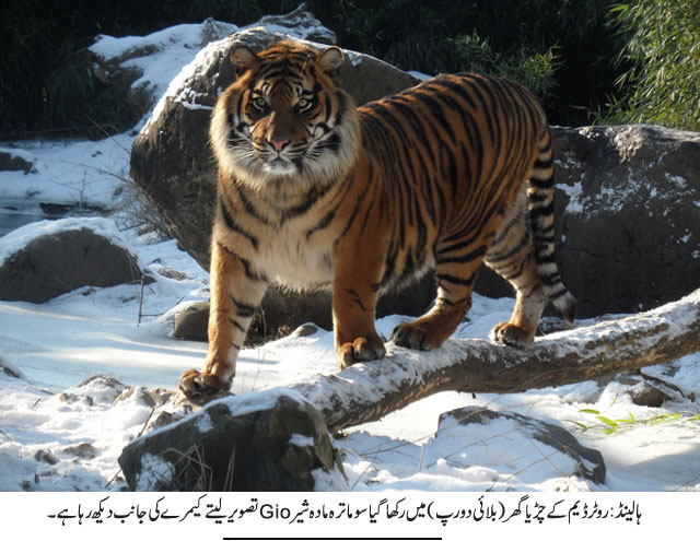 News in Detail