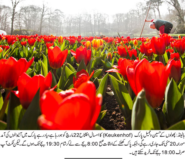 News in Detail