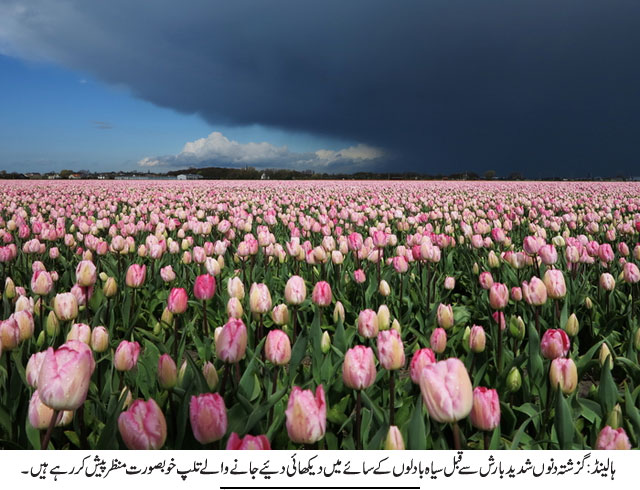 News in Detail