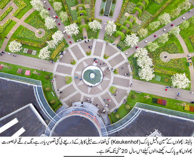 News in Detail