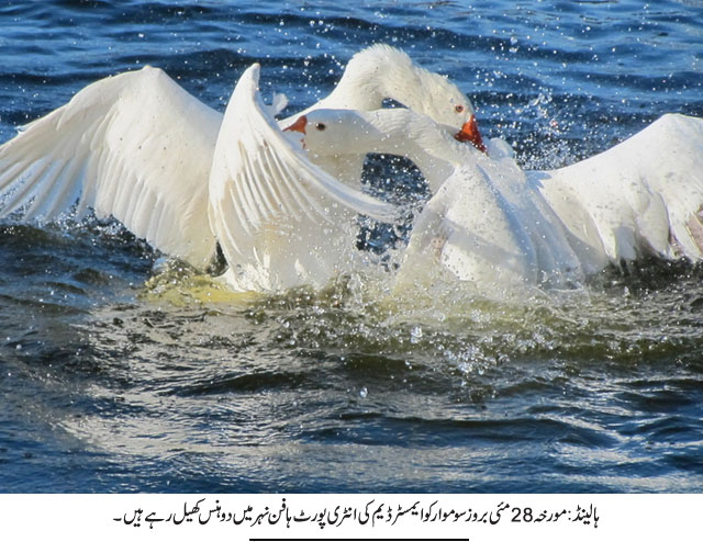 News in Detail