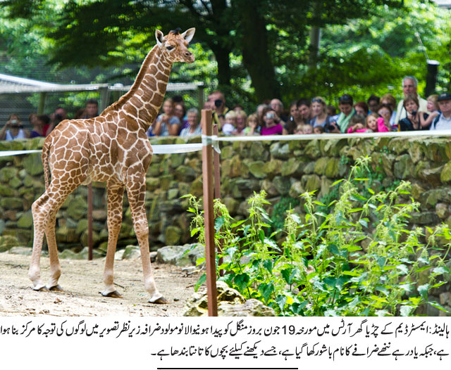News in Detail