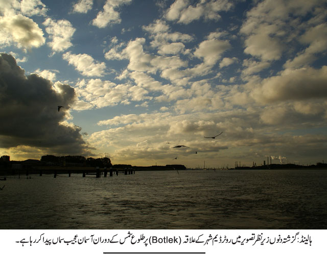 News in Detail