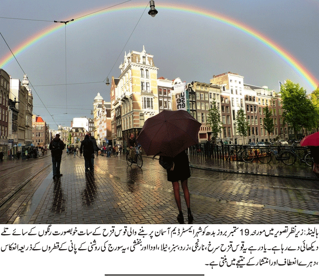 News in Detail