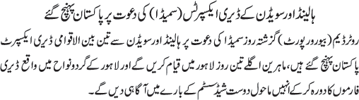 News in Detail