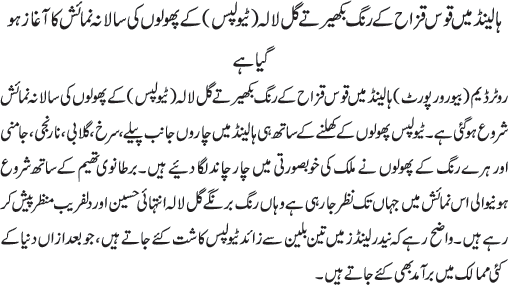 News in Detail