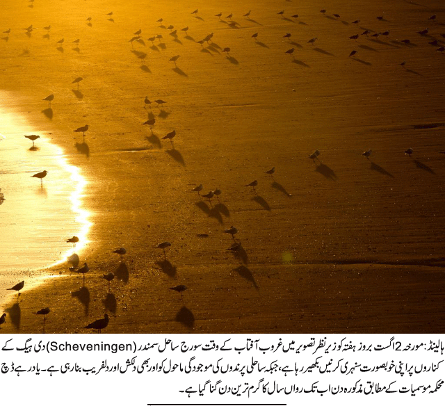 News in Detail