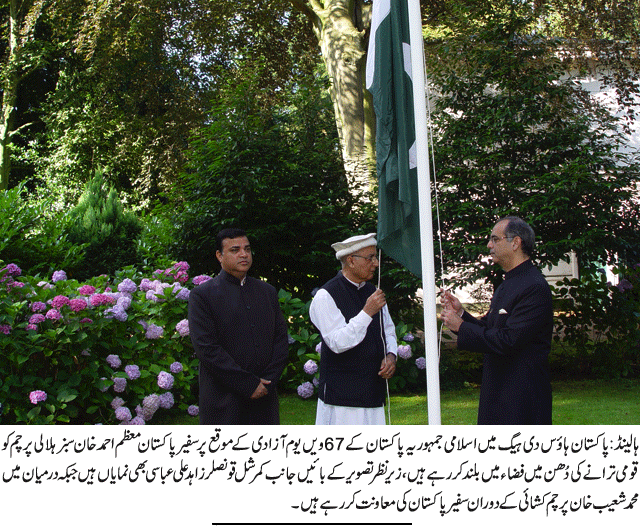 News in Detail