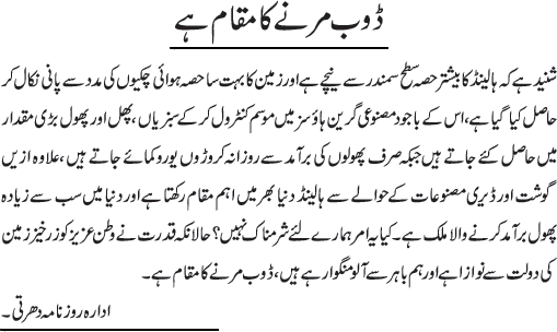 News in Detail