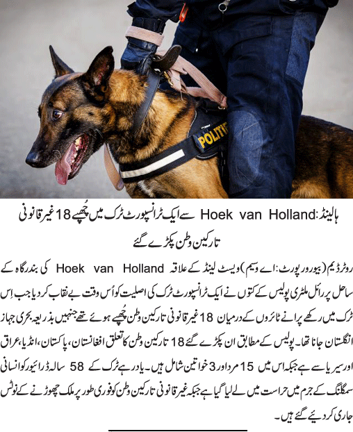News in Detail