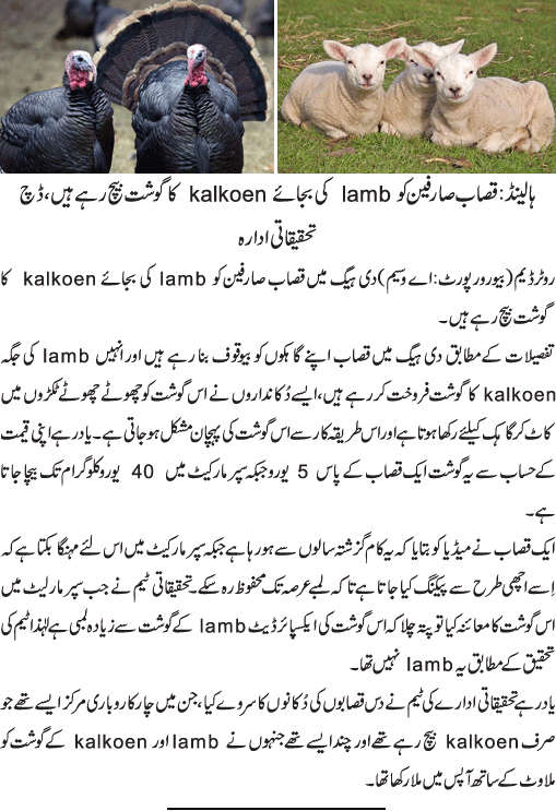 News in Detail