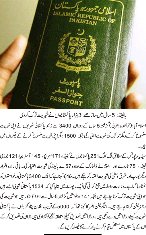 News in Detail