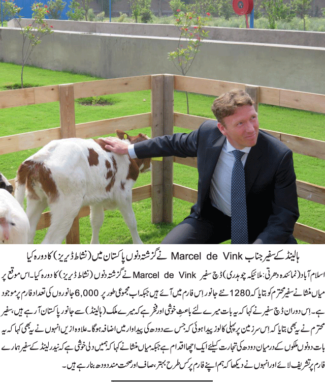 News in Detail