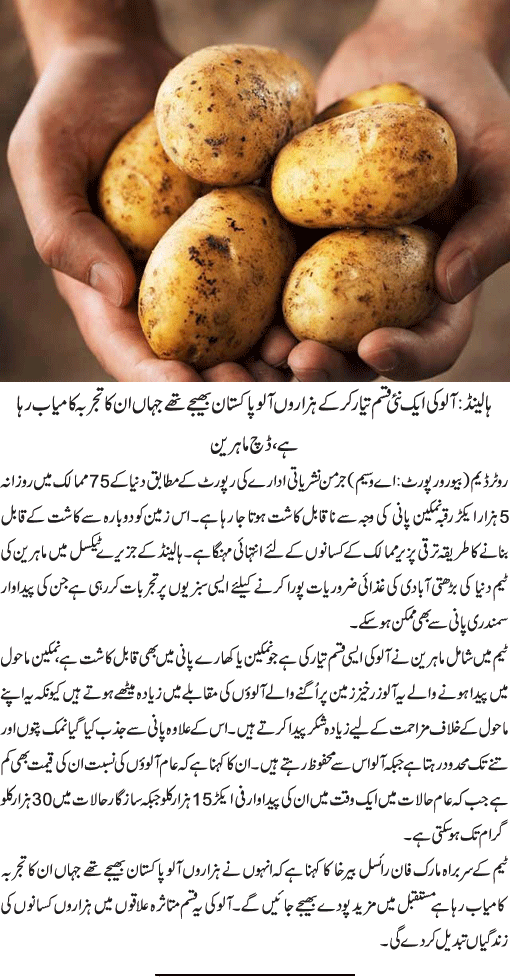 News in Detail