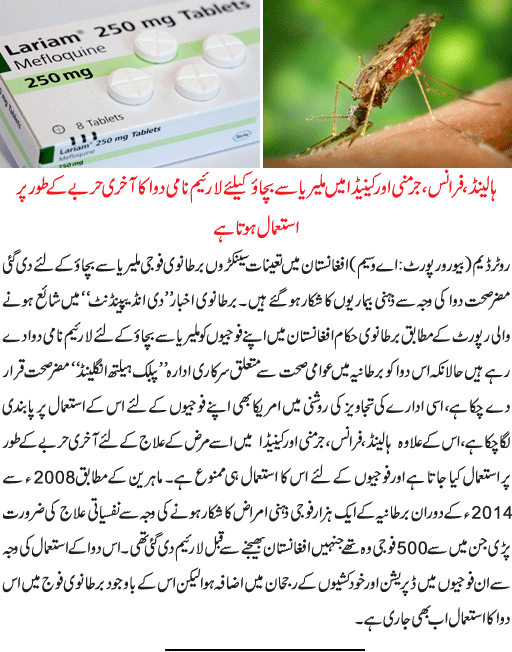 News in Detail