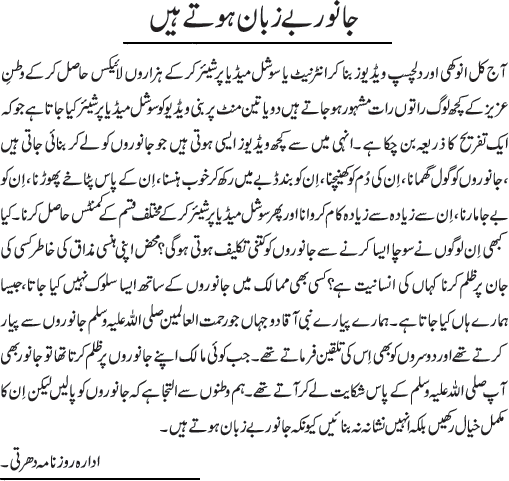 News in Detail