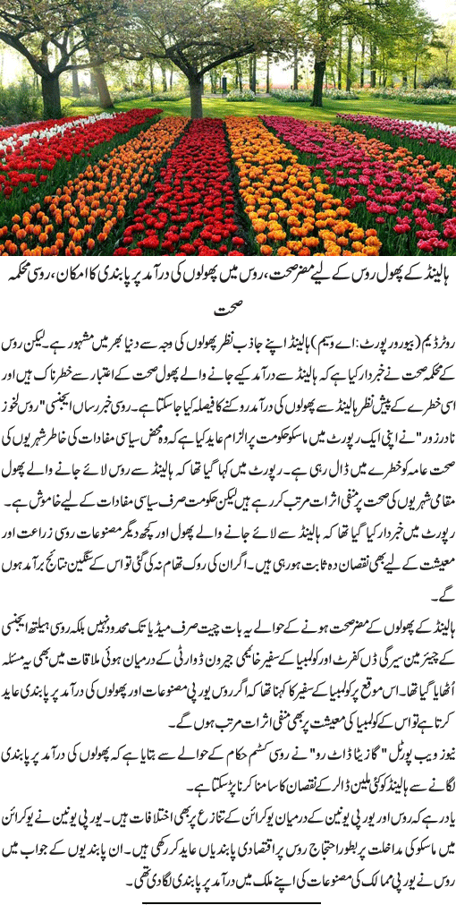 News in Detail