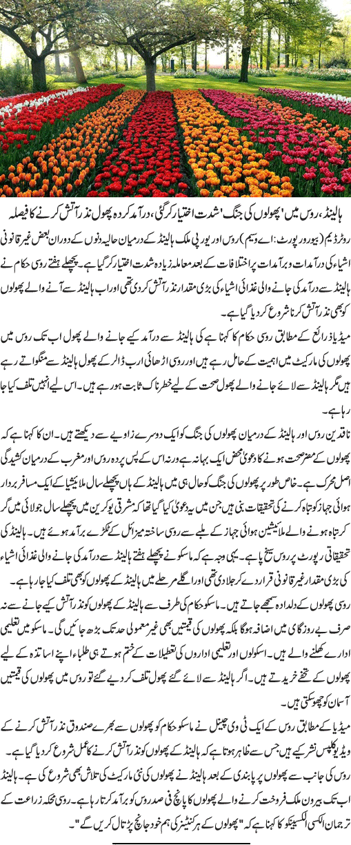 News in Detail