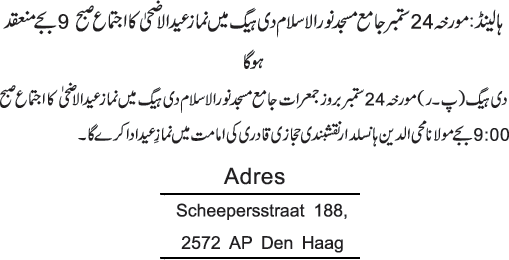 News in Detail