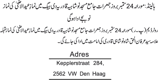 News in Detail