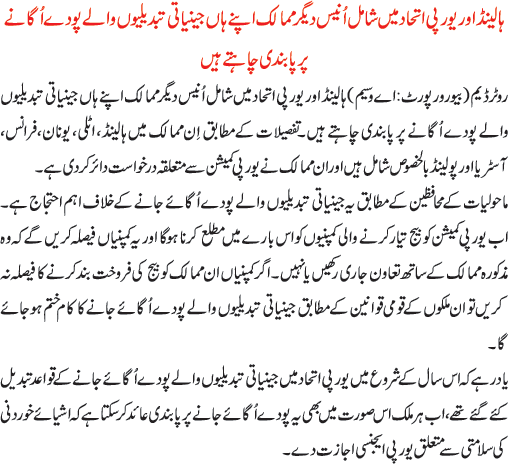 News in Detail