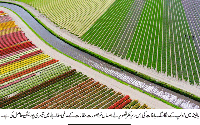 News in Detail