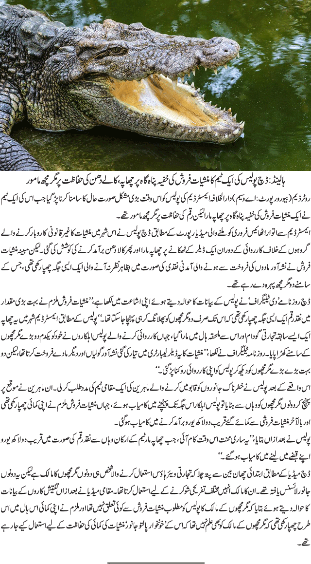 News in Detail
