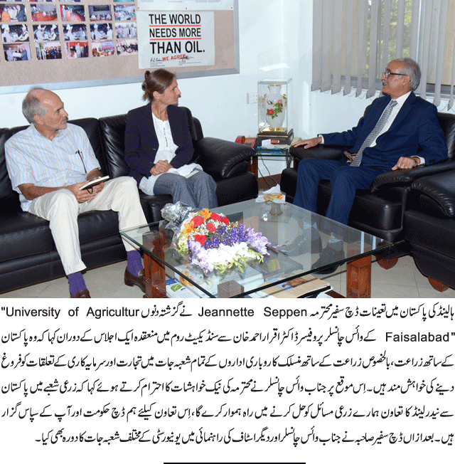 News in Detail