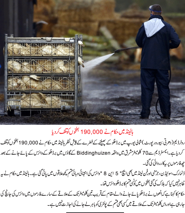 News in Detail