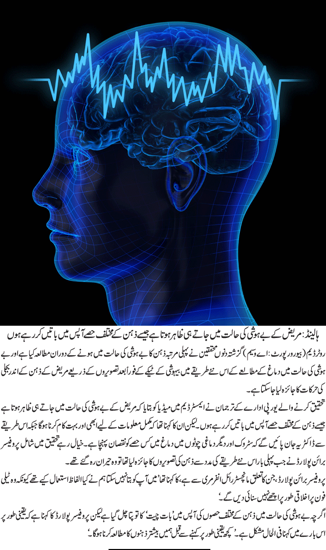 News in Detail