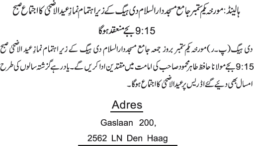 News in Detail