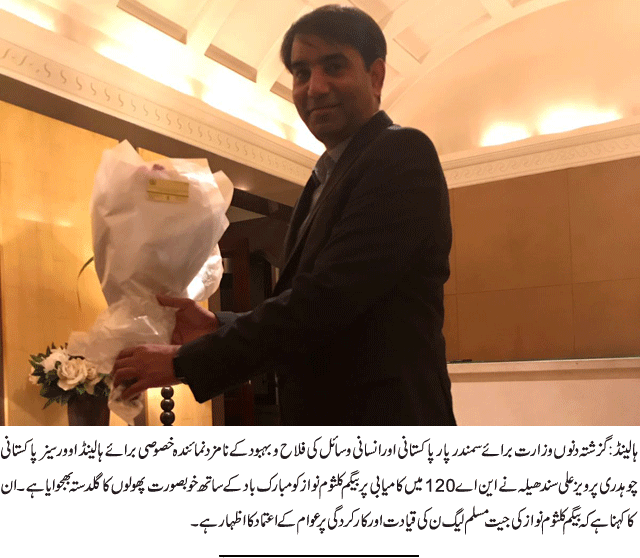 News in Detail