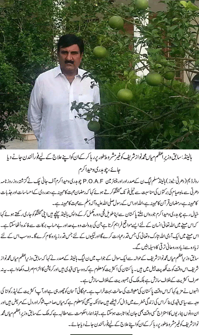 News in Detail