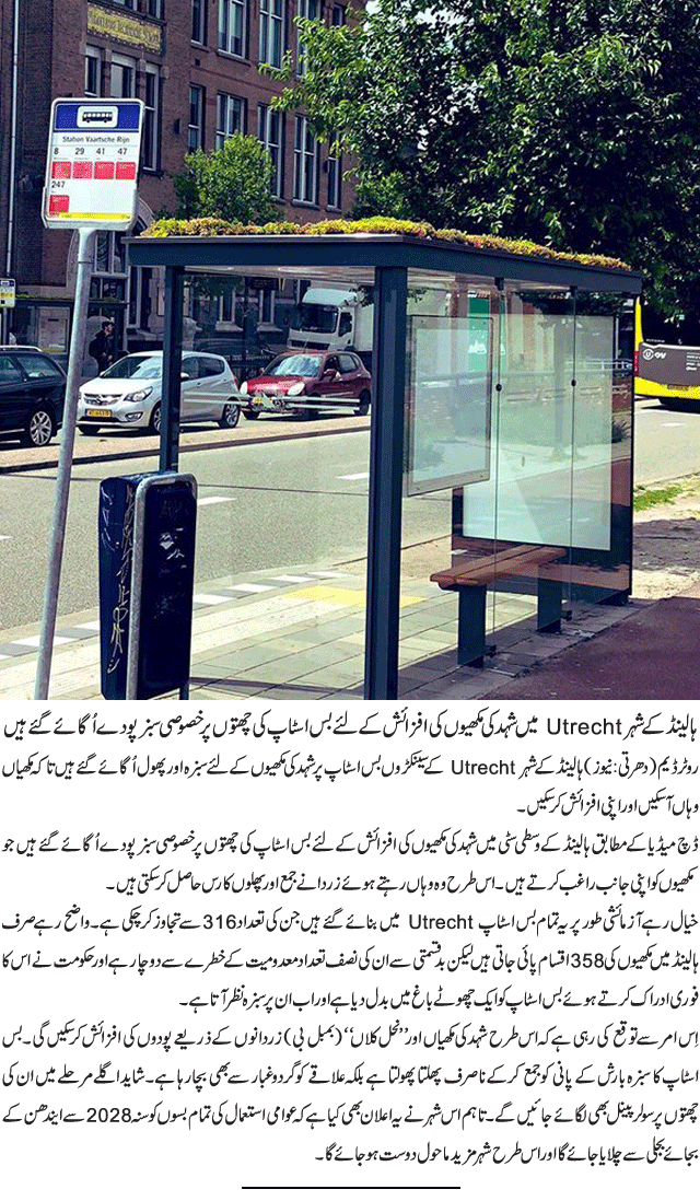 News in Detail