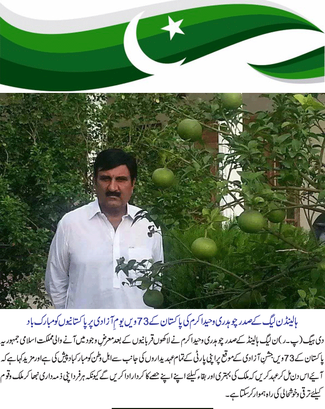 News in Detail
