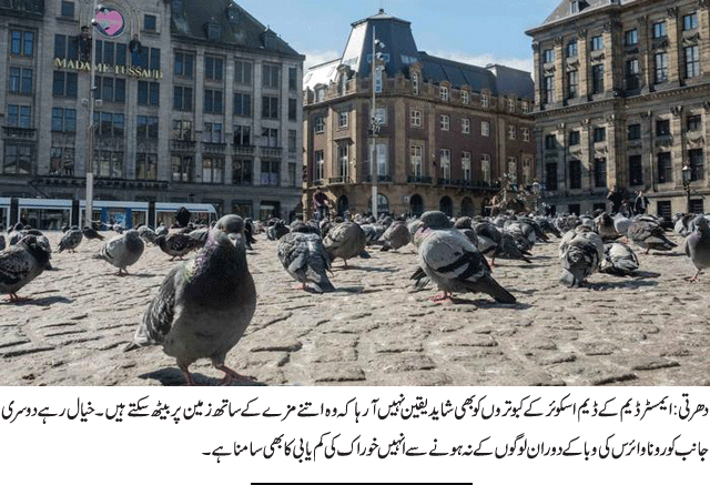 News in Detail