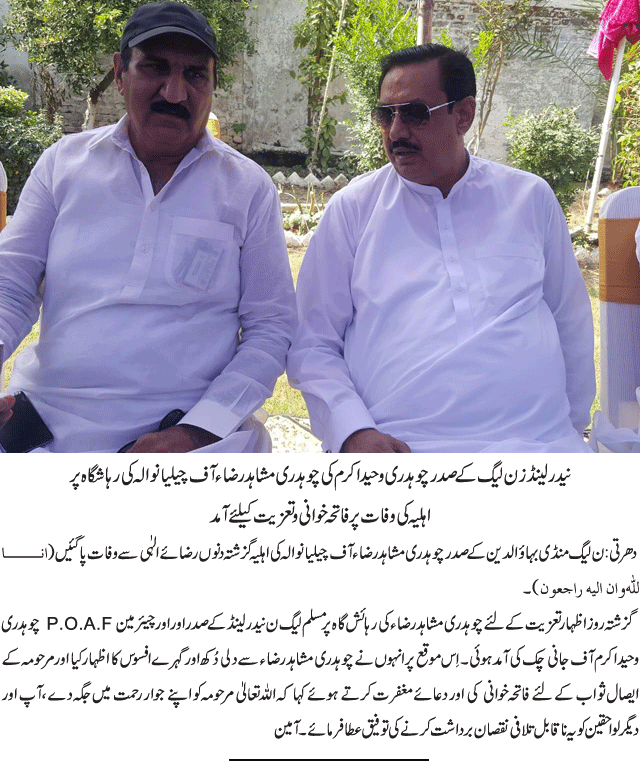 News in Detail