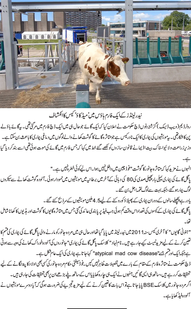 News in Detail