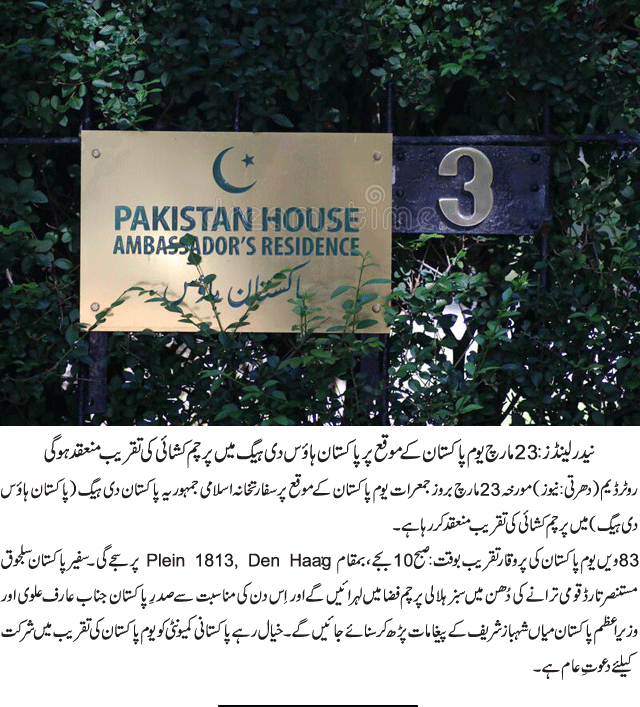 News in Detail