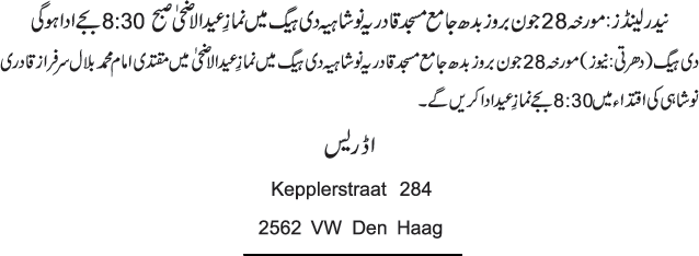 News in Detail