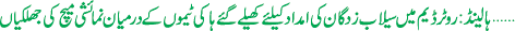 November 25 2010