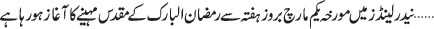 March 04 2025
